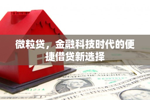 高邮微粒贷，金融科技时代的便捷借贷新选择