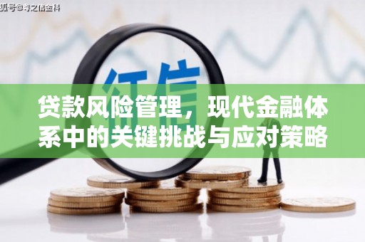 高邮贷款风险管理，现代金融体系中的关键挑战与应对策略