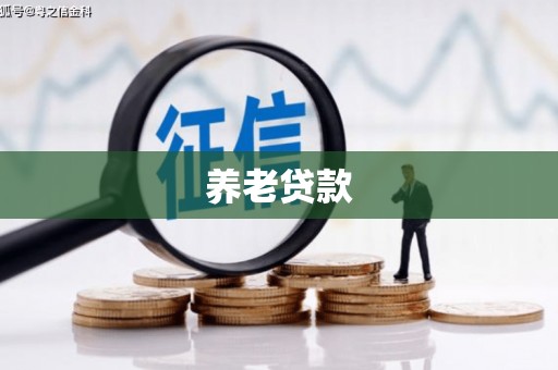 高邮养老贷款