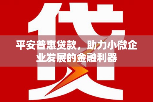 高邮平安普惠贷款，助力小微企业发展的金融利器