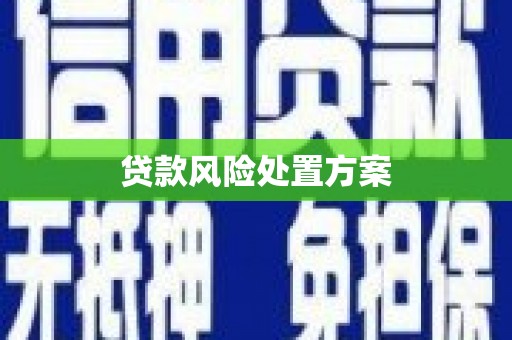 高邮贷款风险处置方案