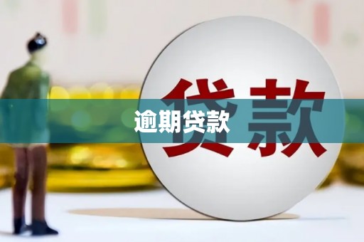 高邮逾期贷款